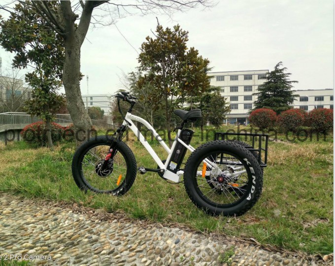 3 Wheel Electric Bicycle with Rear Cargo Image1
