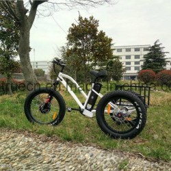 3 Wheel Electric Bicycle with Rear Cargo