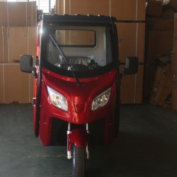 Full Cabin Electric Scooter Tricycle with 800W Motor