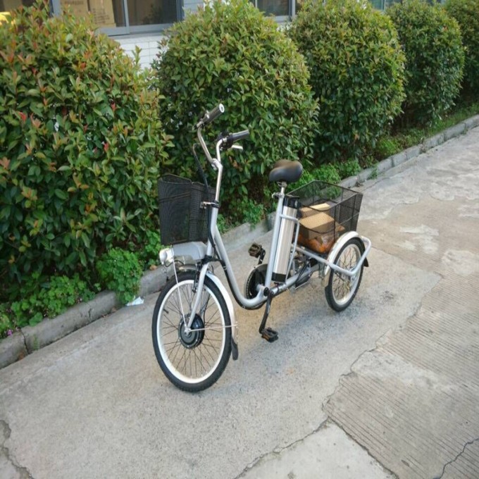 High Quality Pedelec Three Wheels Electric Tricycle Image1