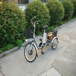 High Quality Pedelec Three Wheels Electric Tricycle