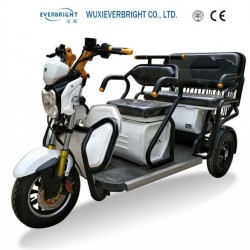 China Electric 3 Wheel Mobility Motorcycle, Handicapped Tricycle
