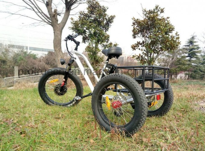 500W Three Wheel Electric Bicycle Image1