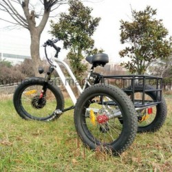 500W Three Wheel Electric Bicycle