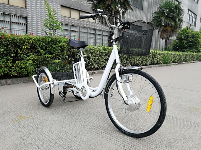 Big Power Electric Trike for Elder People Image1