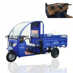New Design Front Face 1000W Electric Cargo Trike/Tricycle to Carry
