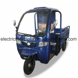 Tricycle Three Wheeler/Cargo Tricycle with Closed Cabin