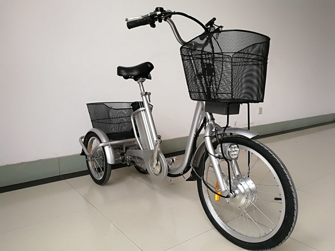 Pedelec Big Size Electric Tricycle Image1