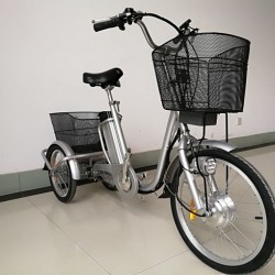 Pedelec Big Size Electric Tricycle