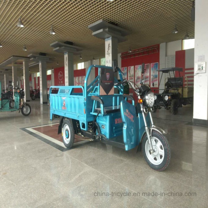 48V Farm Vehicle 45km/H Van Cargo Electric Truck/Tricycle Image1