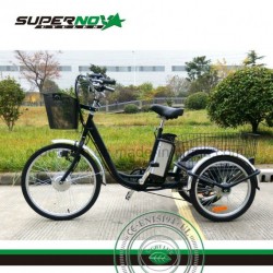 Lithium Battery Electric Cargo Tricycle Bicycle for Farmer