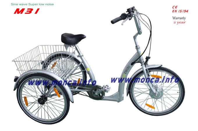 EU Popular Electric Tricycle Three Wheel E-Bike Old Men Children Outdoor Tourney Vehicle E Bicycle Image1