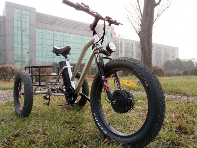 500W Electric Tricycle for Adult Wirh Double Disc Brake Image1