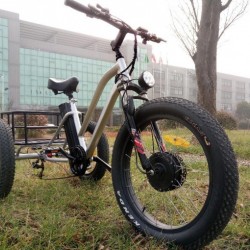 500W Electric Tricycle for Adult Wirh Double Disc Brake