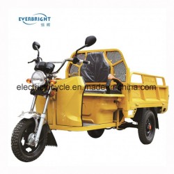 1000W 500kgs Load Electric Cargo Tricycle in India Bangladesh