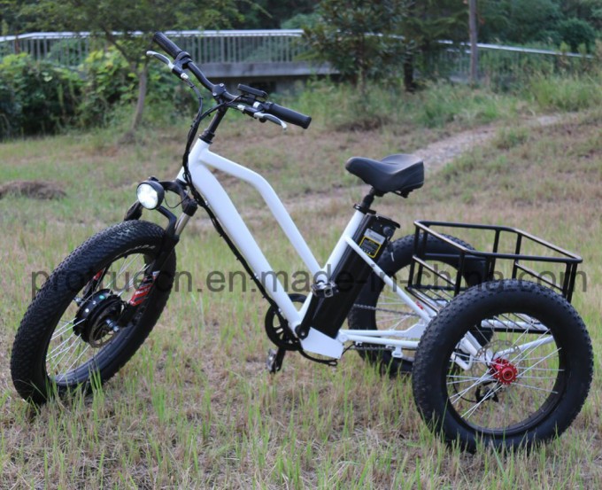 48V Lithium Battery Electric Tricycle with Small Cargo Image1