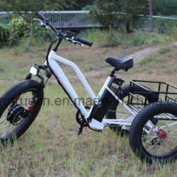 48V Lithium Battery Electric Tricycle with Small Cargo