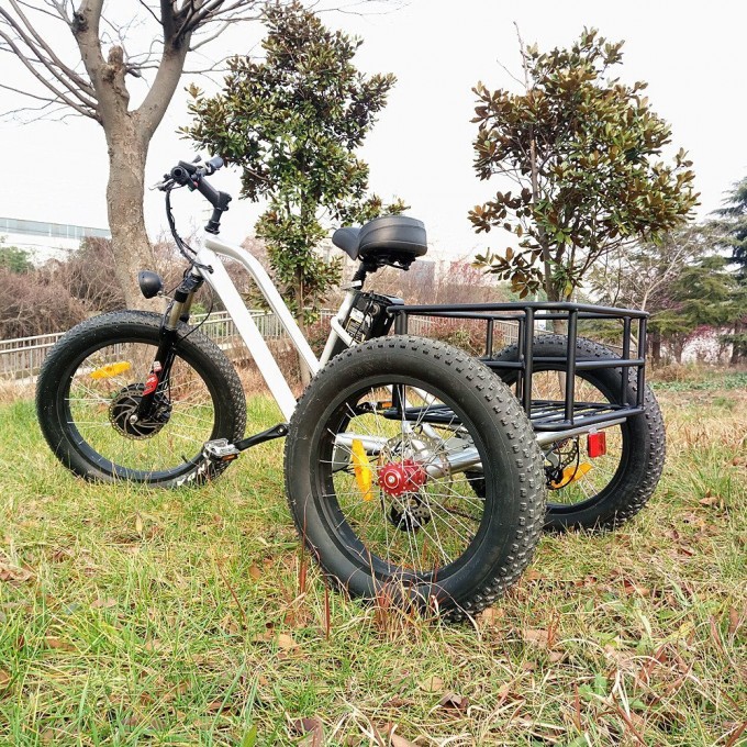 Big Power 48V 500W Electric Trike Image1