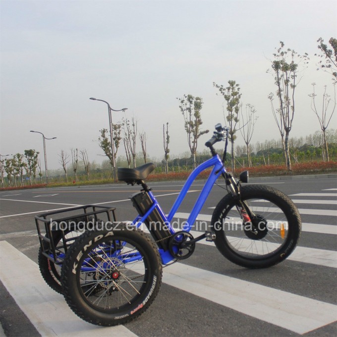 48V 500W Fat Tire Electric Cargo Tricycle with Pedal Image1