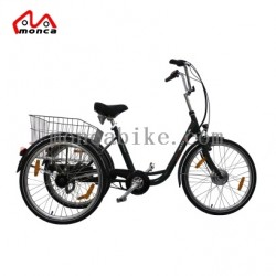 Ce Approval Electric Tricycle E-Bike E Bicycle Lithium Battery Samsung 36V 24V Shimano Gear