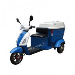 Hot Sale Cleaning Electric Tricycle (CT-023)