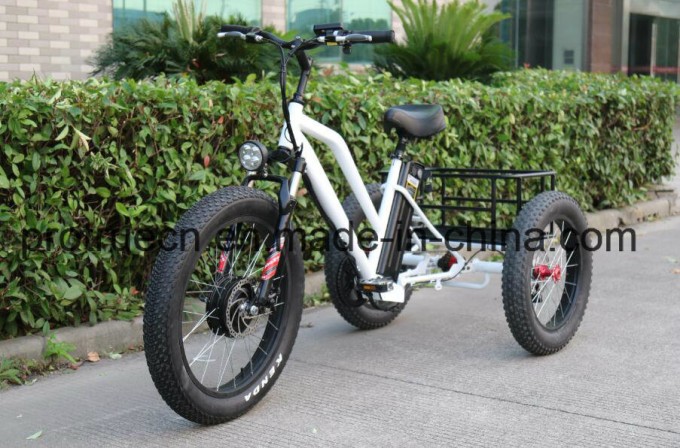 Samsung Lithium Battery Electric Tricycle Bicycle Image1