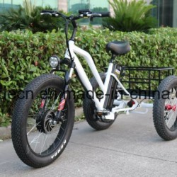 Samsung Lithium Battery Electric Tricycle Bicycle