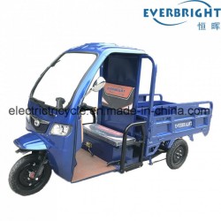 China Three Wheel Cargo Motorcycle Tricycle with Closed Cabin