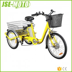 Jse-Moto 3 Wheels Electric Trike Electric Bike 250W-500W En15194