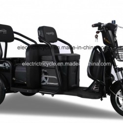 China Adult Electric 3 Wheel Tricycle Scooter for Disabled People