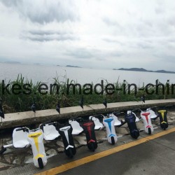 100W 3 Wheels Crazy Mini Electric Go Kart