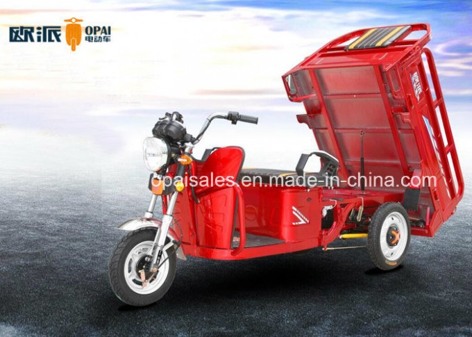 Electric Cargo Trike 1.6m Hopper E-Tricycle 60V 30ah~45ah Image1