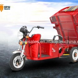 Electric Cargo Trike 1.6m Hopper E-Tricycle 60V 30ah~45ah
