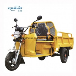 China Cheap Small Tuk Tuk Electric Cargo Tricycle for Sale