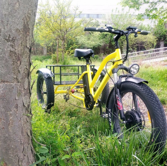 500W Electric Charging Electric Tricycle with Pedals Image1