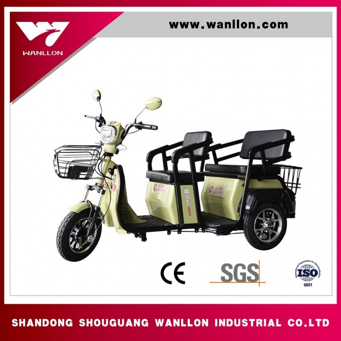 650W Scooter, Electric Cargo Tricycle, Dirt Bike Image1