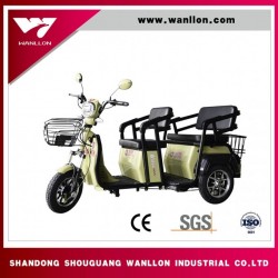 650W Scooter, Electric Cargo Tricycle, Dirt Bike