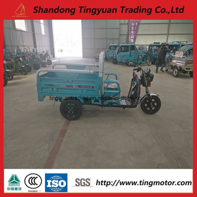 650W Electric Tricycle for Farm Use Image1