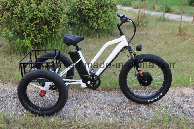 Green Power Mini Lithium Battery Electric Tricycle Image1