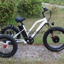 Green Power Mini Lithium Battery Electric Tricycle