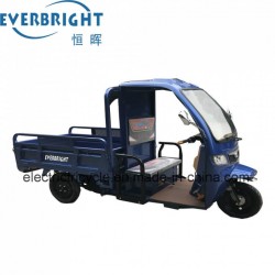Max Speed 35km/H Drum Brake 3-Wheel Electric Cargo Tricycle