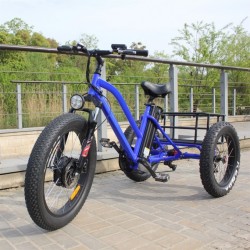 Fat Tire Electric Tricycle for Man with High Power and Double Disc Brake