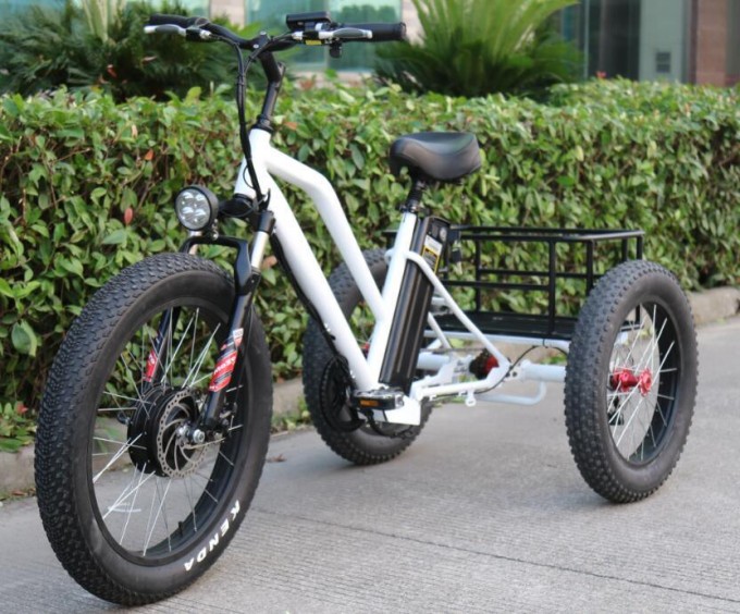 48V 500W Front Motor Electric Tricycle Image1
