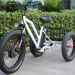 48V 500W Front Motor Electric Tricycle