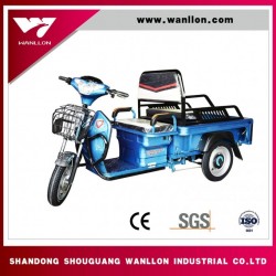 Adult 800W Electric Cargo Tricycle with 1.1*1.6m Large Cargo