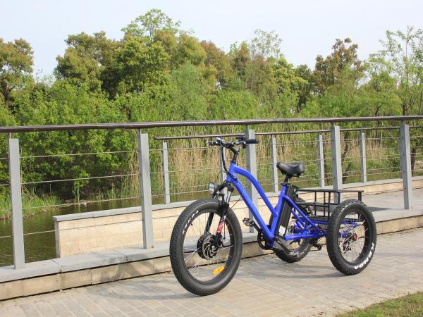 20 Inch 500W Fat Tire Mountain Electric Tricycle for Adult Image1