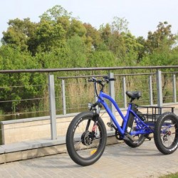 20 Inch 500W Fat Tire Mountain Electric Tricycle for Adult