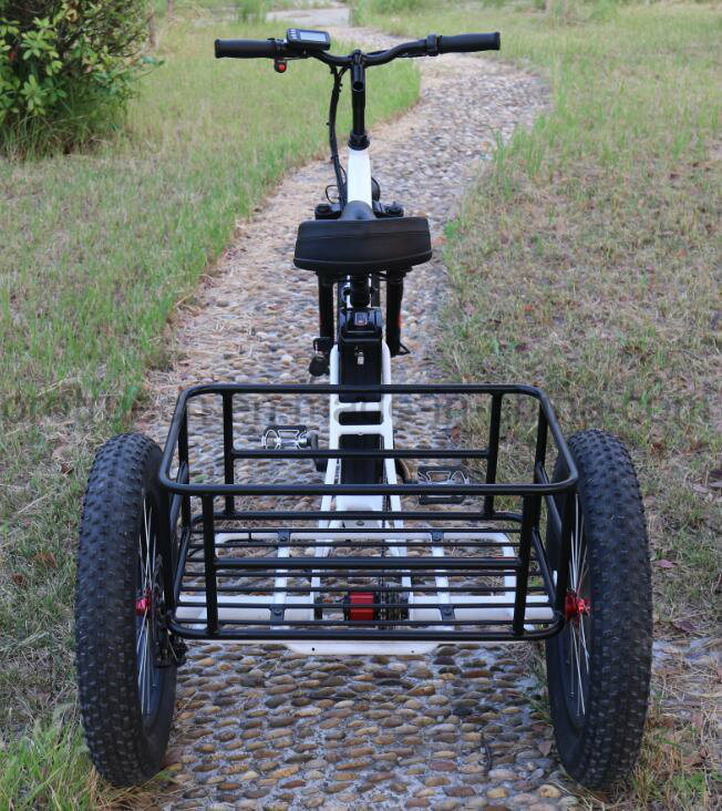 Intelligent Controller Lithium Battery Electric Tricycle Image1