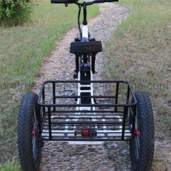 Intelligent Controller Lithium Battery Electric Tricycle