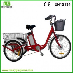 36V 250W 3 Wheel Cargo Electric Motorcycle for Adults